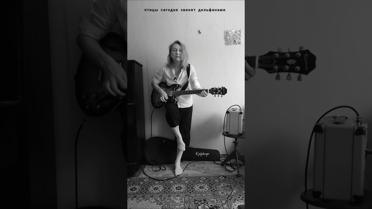 ПТИЦЫ СЕГОДНЯ ЗВЕНЯТ ДЕЛЬФИНАМИ 