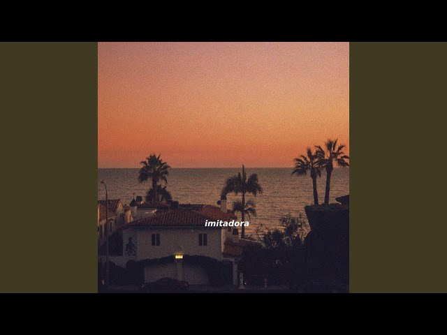 Imitadora (Instrumental Slowed & Reverb)