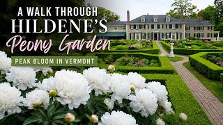 A Walk Through Hildene's Peony Garden | Peak Bloom in Vermont