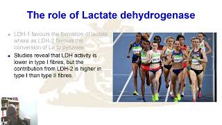 Lactate as a mitochondrial fuel: Role of LDH