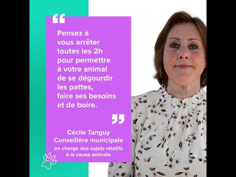 Nos conseils pour voyager sereinement avec votre animal de compagnie
