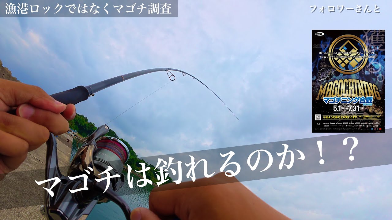 【マゴチ調査】漁港ロックではなくマゴチ調査！果たしてマゴチは釣れるのか！？〔宮城釣り〕〔マゴチ〕〔フラットフィッシュ〕