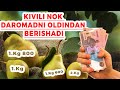 KIVI NOKI HAQIDA BILASIZMI? DAROMADNI OLDINDAN 3000 $ GACHA BERISHADI | ЗНАЕТЕ ЛИ ВЫ О КИВИ НОКИ?