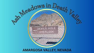 Devil's Hole and the endangered pupfish at a spiritual spring in Ash Meadows outside Death Valley