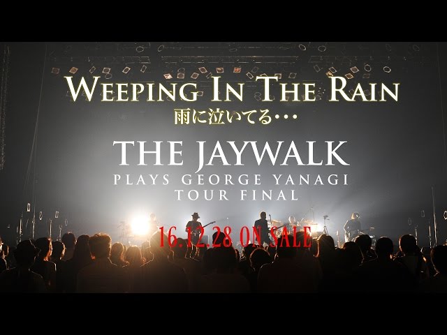 雨に泣いてる…THE JAYWALK