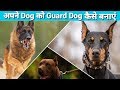 how to train a dog to guard your home / Apne dog ko guard kese banaye / Guard Dog trening how to train a dog to guard your home / Apne dog ko guard kese banaye / Guard Dog trening
