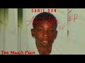 Sanie dan  too much pain official audio about me ep jevydonmuziq