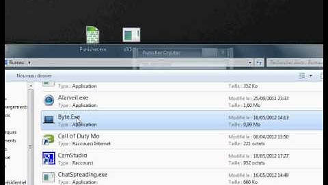 Punisher Crypter 100% fud !