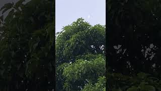 Day Time Moon View from earth captured by mobile natural video mind relaxation