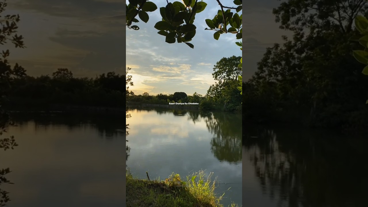 Hey Shona 💗🌷 | Aesthetic Lyrics Status 