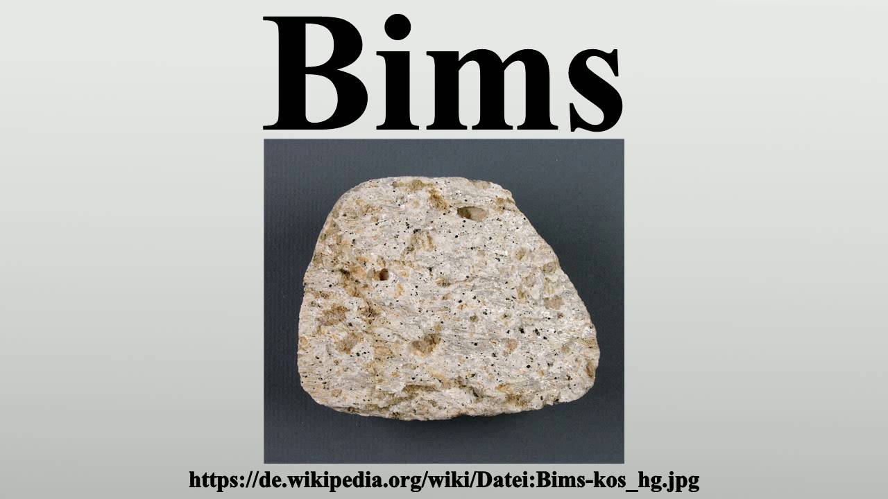 Bims