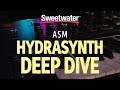 ASM Hydrasynth Synthesizer Deep Dive — Daniel Fisher