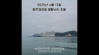 2025년 4월 12일 송정 대복호 왕전갱이등 조황