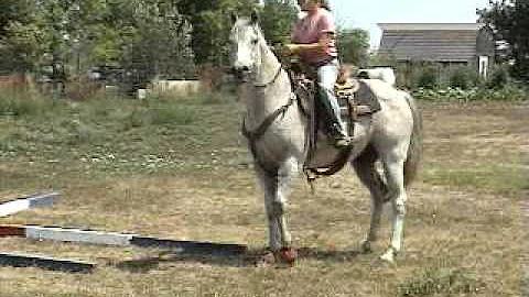 Stone on obstacles 2012 at Frink arena