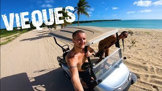 VIEQUES ISLAND ADVENTURE! - PUERTO RICO