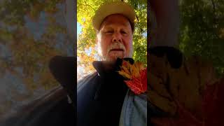 Love demme Canadian maple leaves soooo! Gorgeous fall colors in my pocket good luck! #leaves