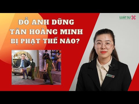 Video Chủ tịch Tân Hoàng Minh Đỗ Anh Dũng bị xử phạt thế nào? - youtube