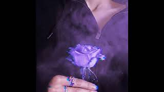 Violet UltraRay – die 4 u
