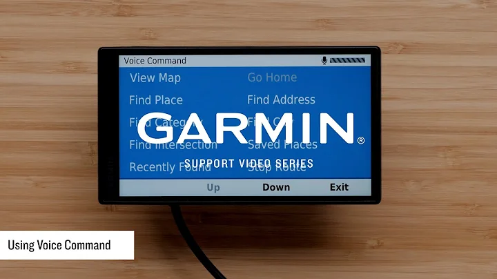 Support: Using Voice Commands on an Automotive Device