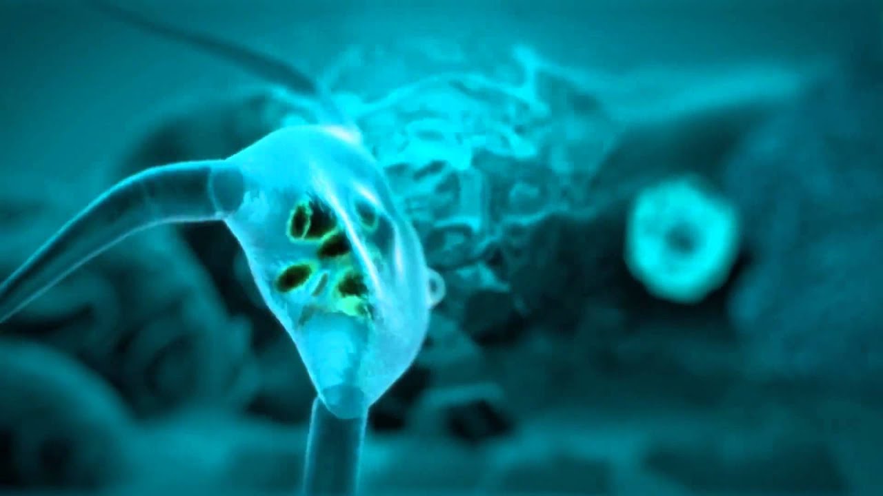 Dream Dance Alliance - Love (Dream Dance Vol. 70)