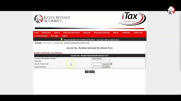 How To File 2022 NIL Returns