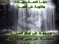 هانى شاكر من المنسى 