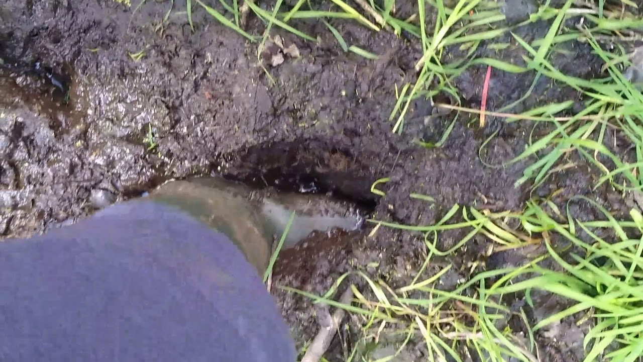 Water And Mud YouTube