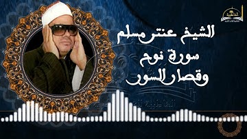 الشيخ عنتر مسلم سورة نوح وقصار السور