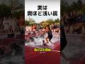 陸上選手がわざと「水溜まり」に飛び込む理由