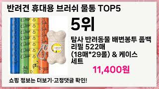 🚀반려견 휴대용 브러쉬 물통 리뷰 10만개 인생 5템 추천🚀