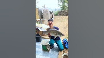 Câu được cá vược khủng 6,5 kg