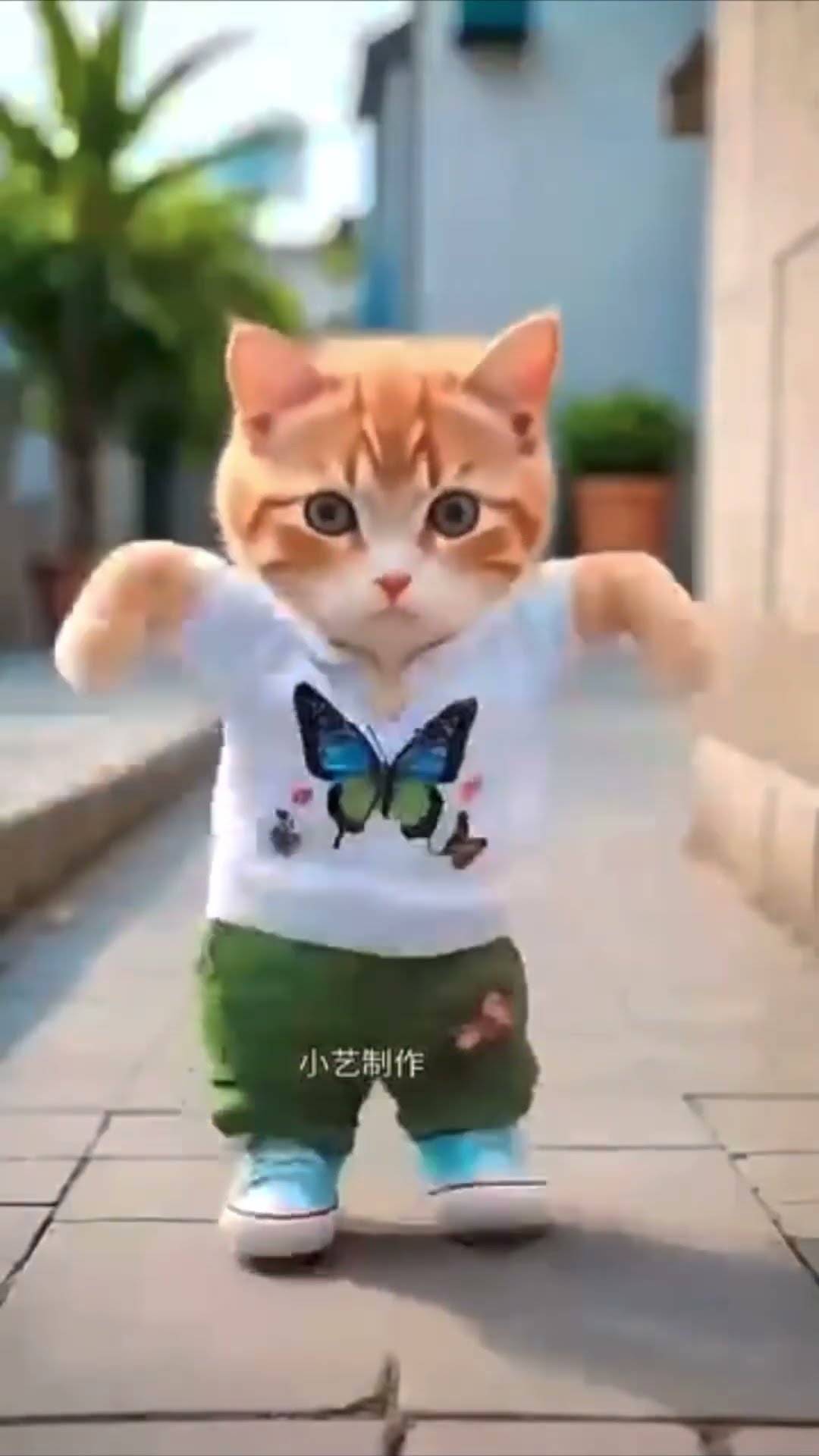 Cute dancing cat with dad and kid ??❤️✅??
