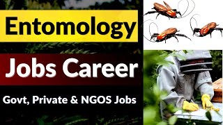 Entomology : Careers in Entomology |  Entomology Job Scope