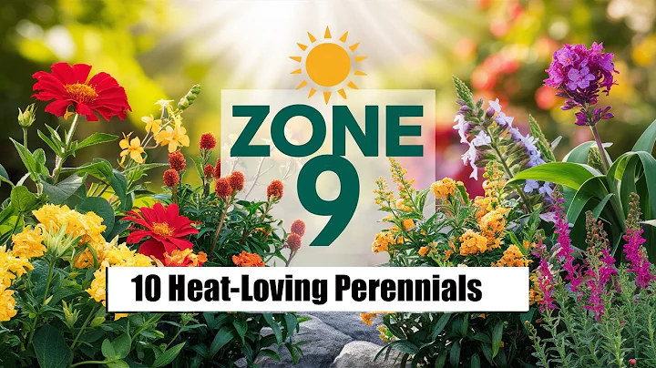 10 Heat-Loving Perennials for a Thriving Zone 9 Garden | Sun-Kissed Garden Tips