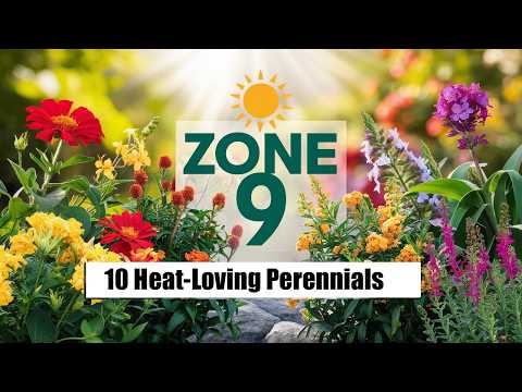 10 Heat-Loving Perennials