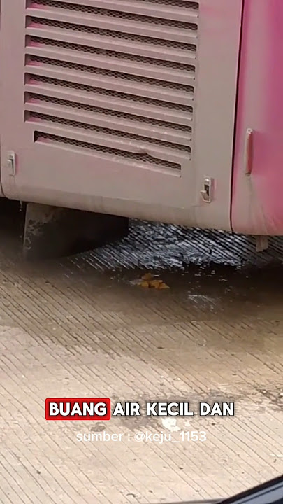 JANGAN BAB DI TOILET BUS !!! #shorts #busmania #jetbus3 #adiputro #laksanabus #buspariwisata