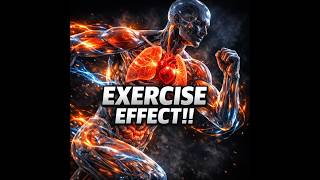 What Happens Inside Your Body When You Exercise? | 3D Animation