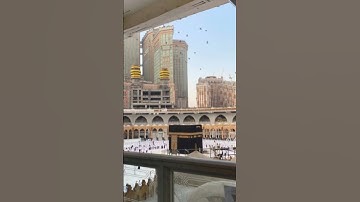 الشيخ خالد المهنا ما تيسر من سورة #الانعام #تلاوات