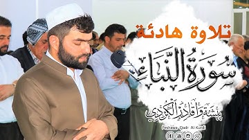 تلاوة هادئة من سورة النبأ للقارئ بيشةوا قادر الكردي