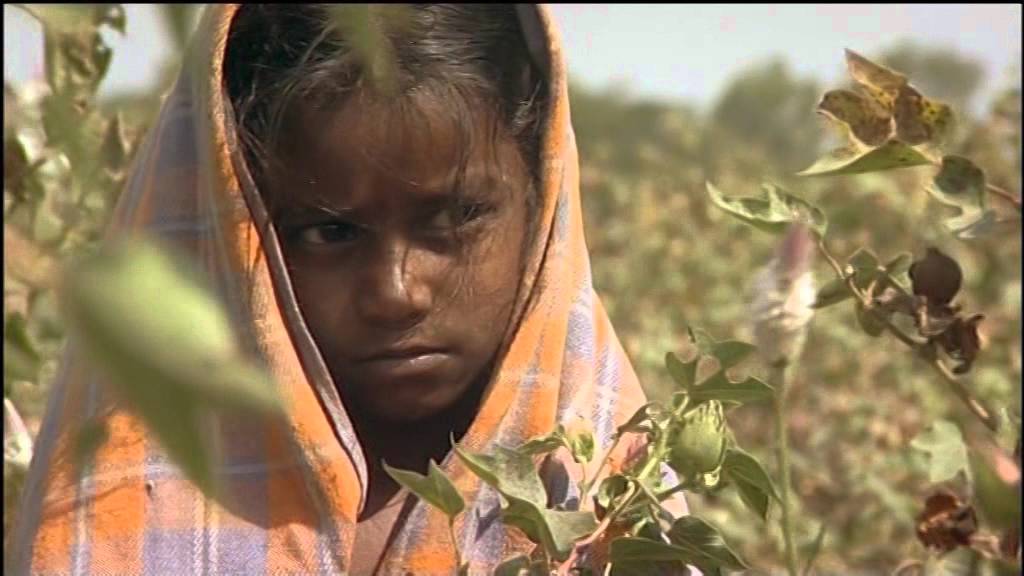 Leben ausser Kontrolle - Von Genfood und Designerbabies TRAILER