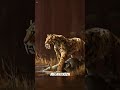 “4 Deadliest Sabre-Tooth Predators Ever 😳”