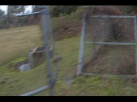 JungleLand Zoo - CLOSED ! - abandoned  tourist attraction (2/26/10)