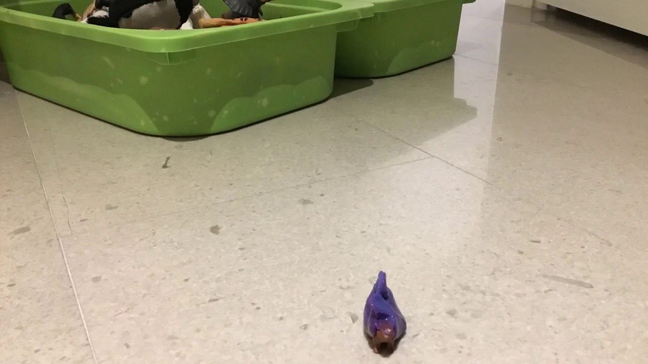 Porcupine Sound Effects YouTube