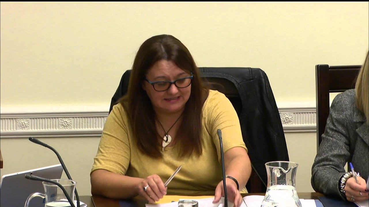 Public Accounts Committee 19 November 2014 YouTube