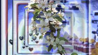 PETER CURTIS MATEER - When The Traffic Lights Turn Green - Movie.wmv screenshot 3