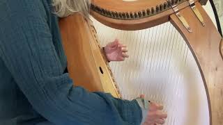 gosteg Dafydd athro (wire harp)