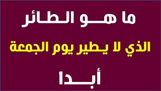 ماهو الطائر الذي لا يطير يوم الجمعة ابدا  لو عرفت الاجابة اكتبها في التعليقات