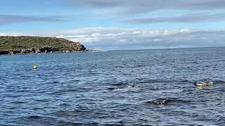 Esok Kan Kujelang - Vera