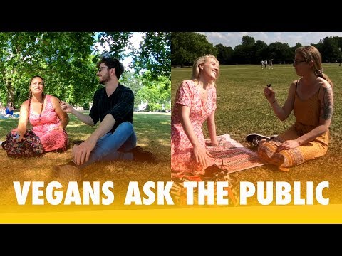 Animal Rights | What do the public think?