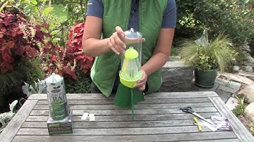 How to assemble RESCUE! Stink Bug Trap